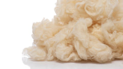 Bulgarian Wool Filling β Clean, Odor-Free, Washed, Combed for Crafts, Pillows, Cushions