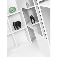 Aurora Highsleeper Shelves