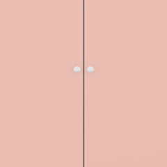 Denver 2 Door Wardrobe - White/Pink Gloss