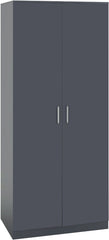 Dakota 2 Door Wardrobe - Dark Grey